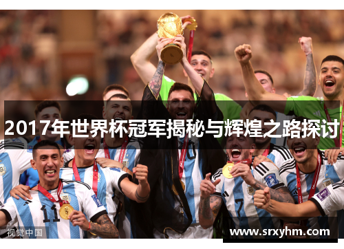 2017年世界杯冠军揭秘与辉煌之路探讨