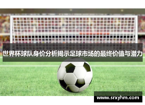 世界杯球队身价分析揭示足球市场的最终价值与潜力